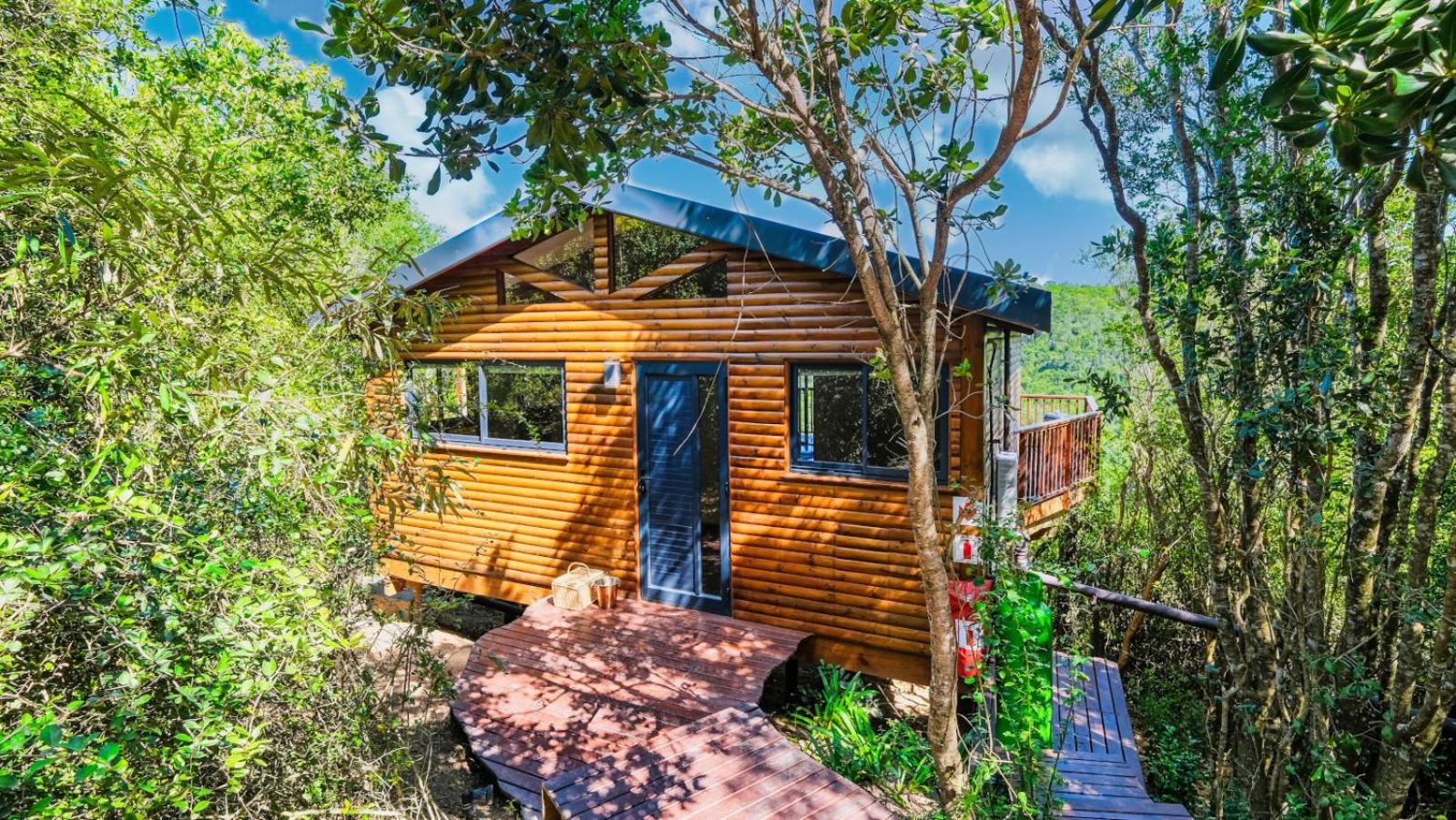 Teniqua Treetops Karatara Settlement Habitación foto