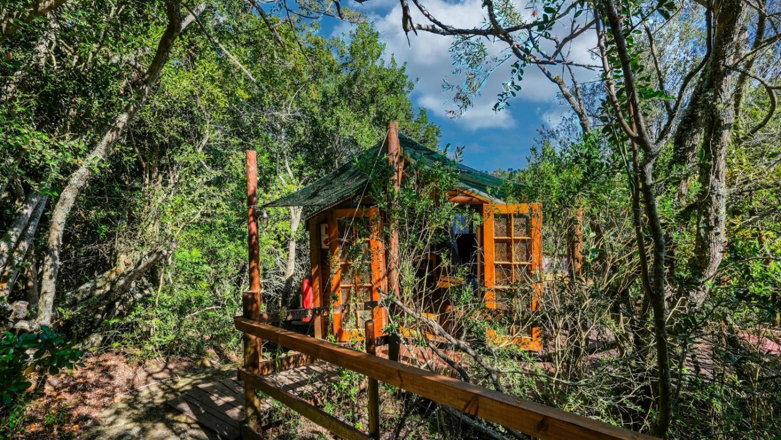 Teniqua Treetops Karatara Settlement Habitación foto
