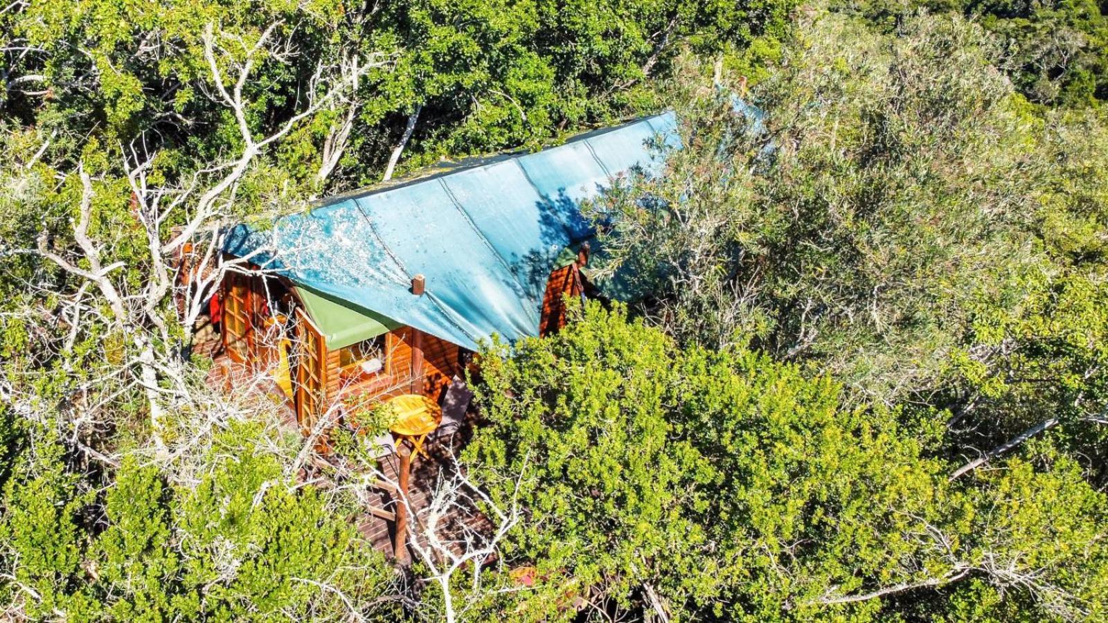 Teniqua Treetops Karatara Settlement Habitación foto